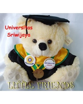Boneka Wisuda Universitas Sriwijaya - Keperawatan (30 cm)